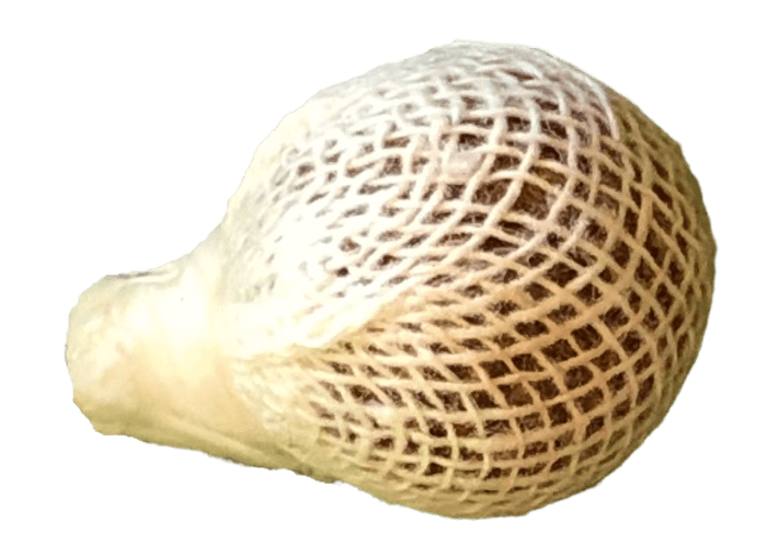 jak wyglada tampon ziołowy